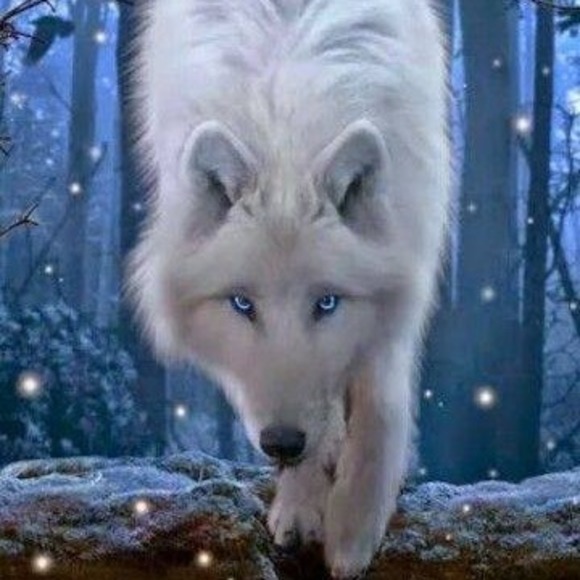 whitewolf595